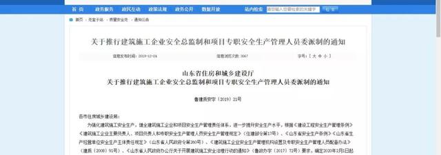 安全總監
